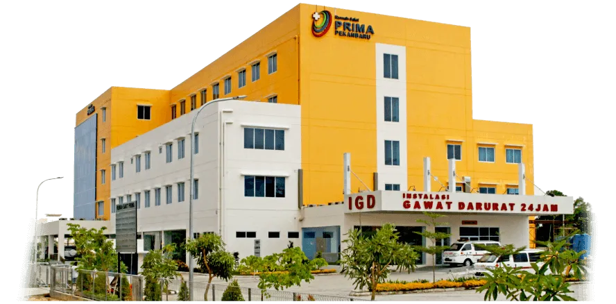 Rumah Sakit Prima Pekanbaru Resmi Menggunakan SIM RS Dhealth